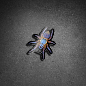 3" Blue Blaze Tarantula Sticker - Waterproof Indoor/Outdoor Use