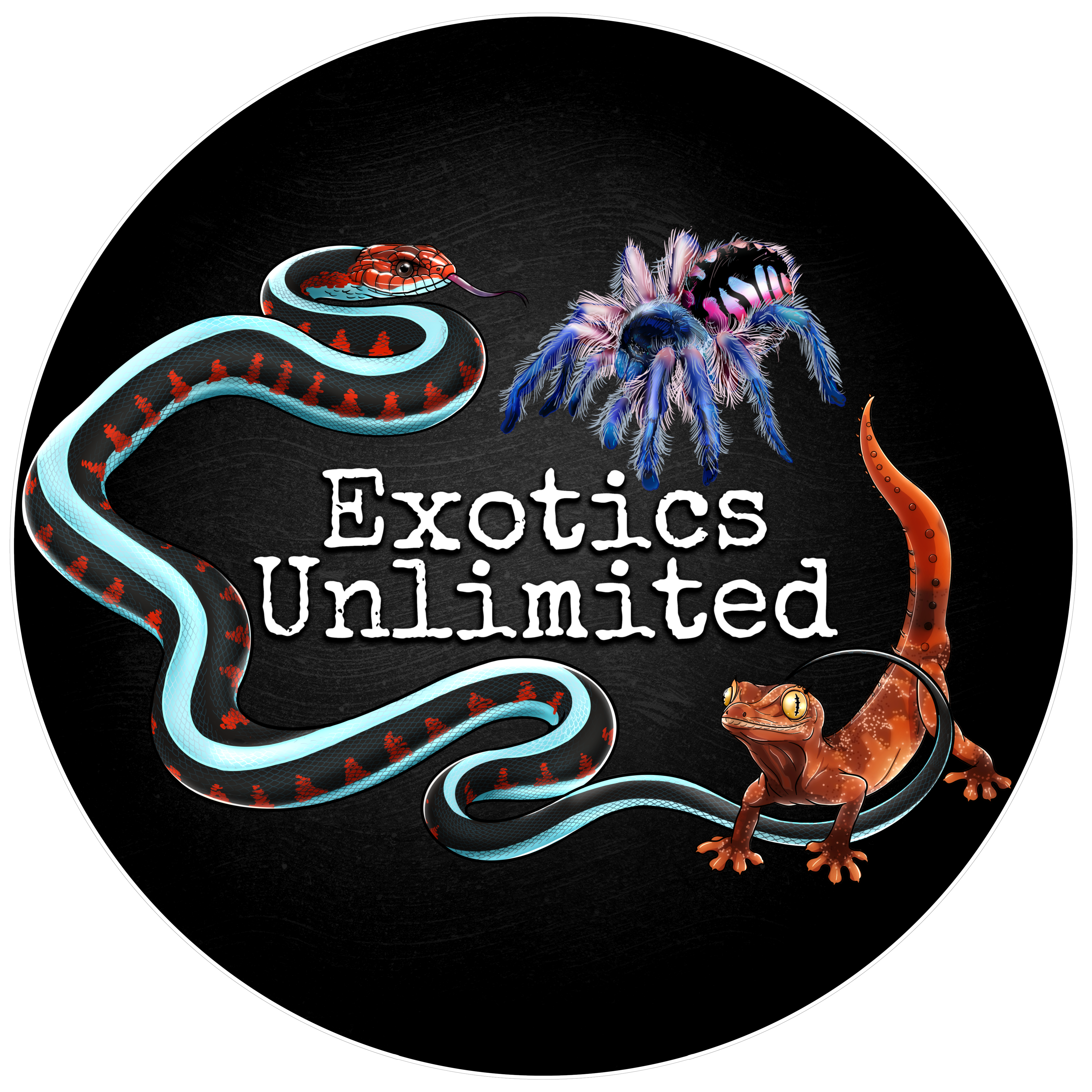 Exotics Unlimited