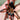 Theraphosinae sp "magma" (Peruvian Magma Tarantula) 1”+