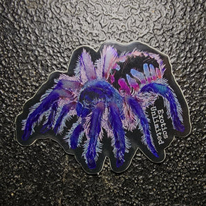 2" Metallic Vinyl Typhochlaena seladonia (Brazilian Jewel) Sticker - Waterproof Indoor/Outdoor Use