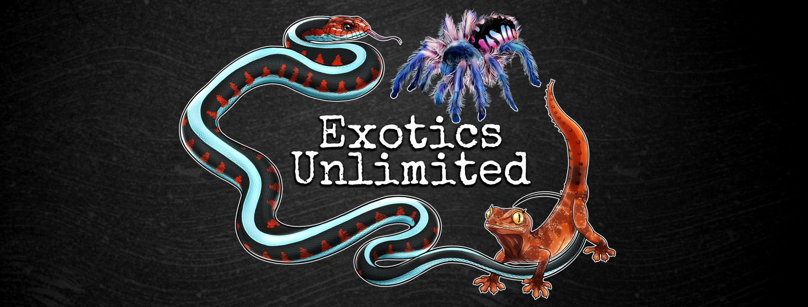 FAQ's Exotics Unlimited