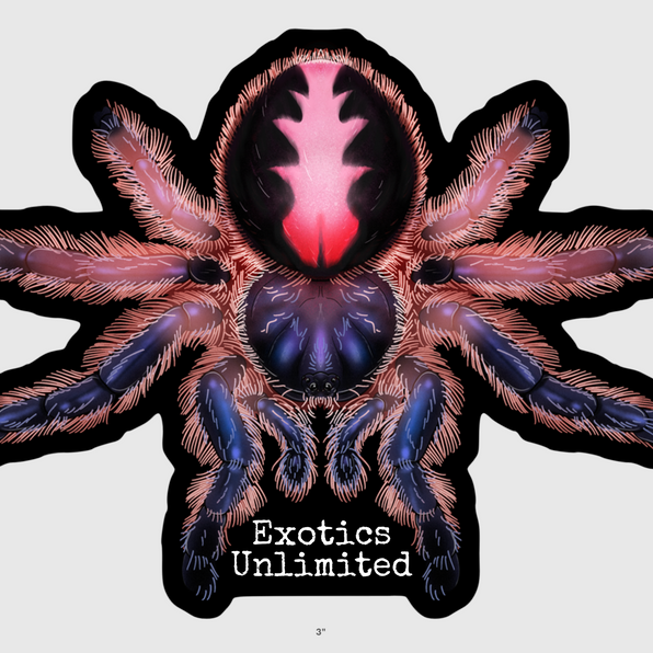 Products Exotics Unlimited